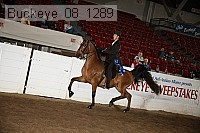 buckeye_08_1289 proof