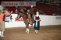 buckeye_08_1291 proof