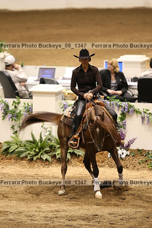 Proof buckeye_08_1347