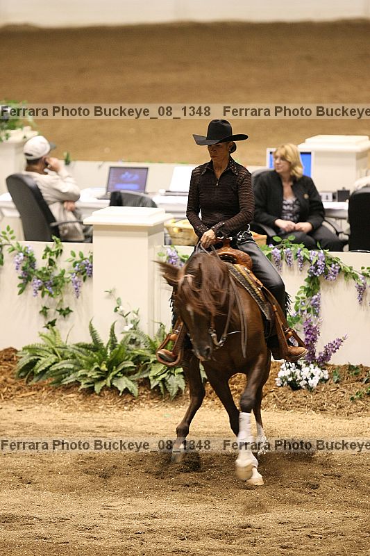 Proof buckeye_08_1348