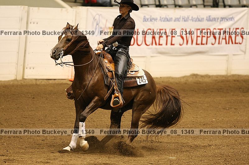 Proof buckeye_08_1349