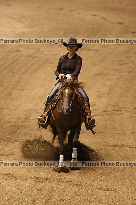 Proof buckeye_08_1350