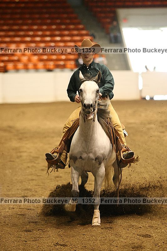 Proof buckeye_08_1352