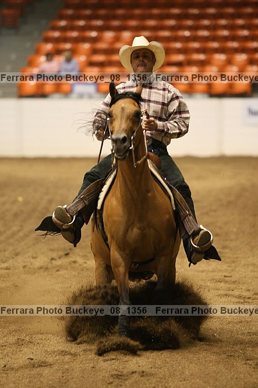 Proof buckeye_08_1356