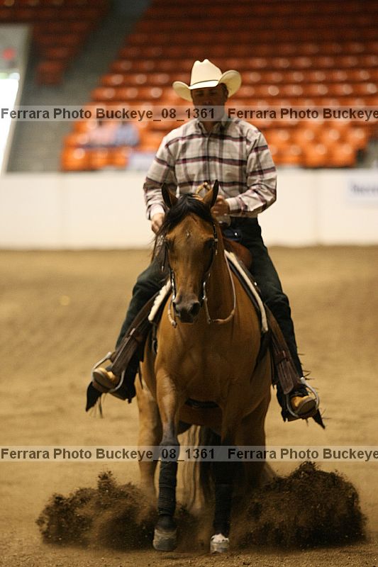 Proof buckeye_08_1361