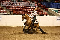buckeye_08_1363 proof