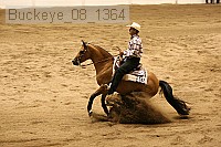buckeye_08_1364 proof