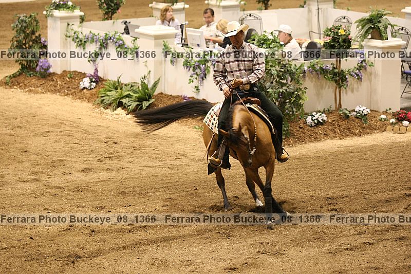 Proof buckeye_08_1366
