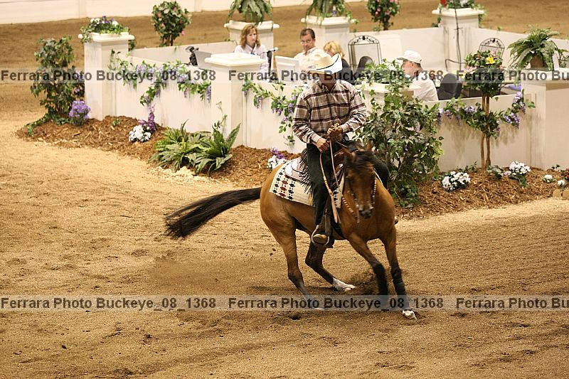 Proof buckeye_08_1368