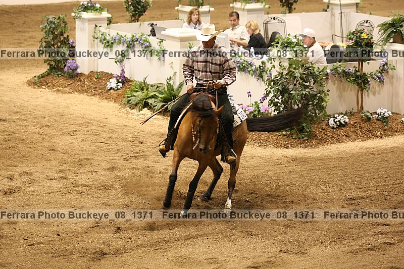 Proof buckeye_08_1371