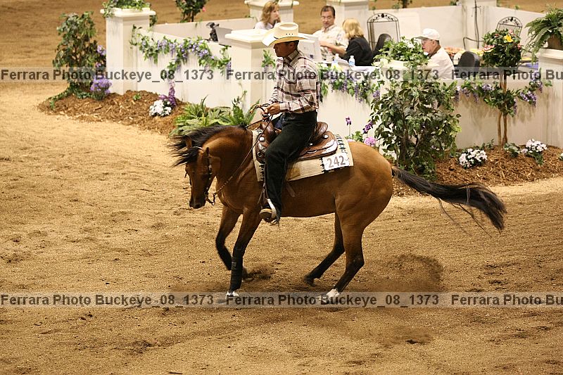 Proof buckeye_08_1373