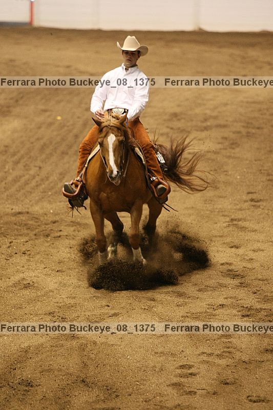 Proof buckeye_08_1375