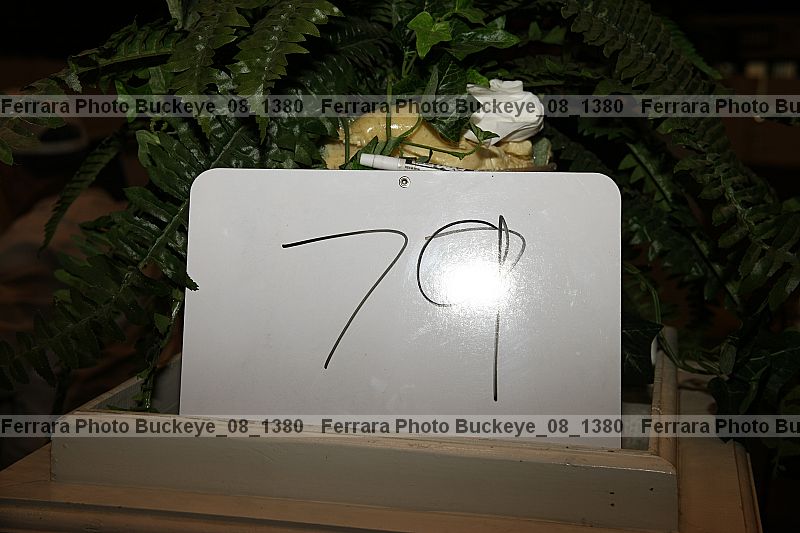 Proof buckeye_08_1380