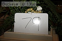 buckeye_08_1380 proof