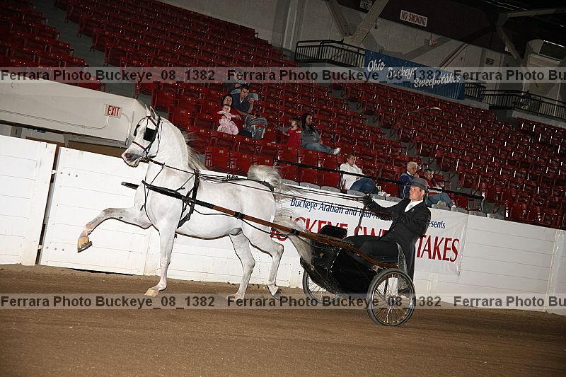 Proof buckeye_08_1382