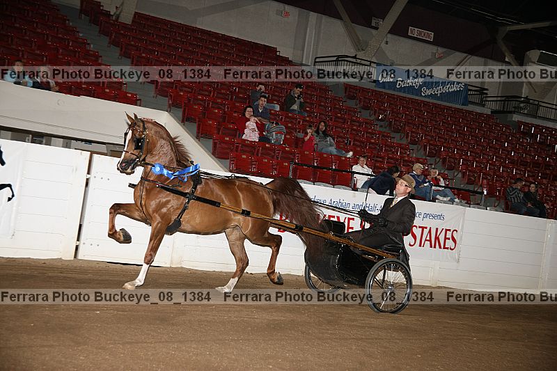 Proof buckeye_08_1384