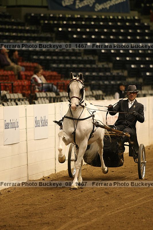 Proof buckeye_08_1467