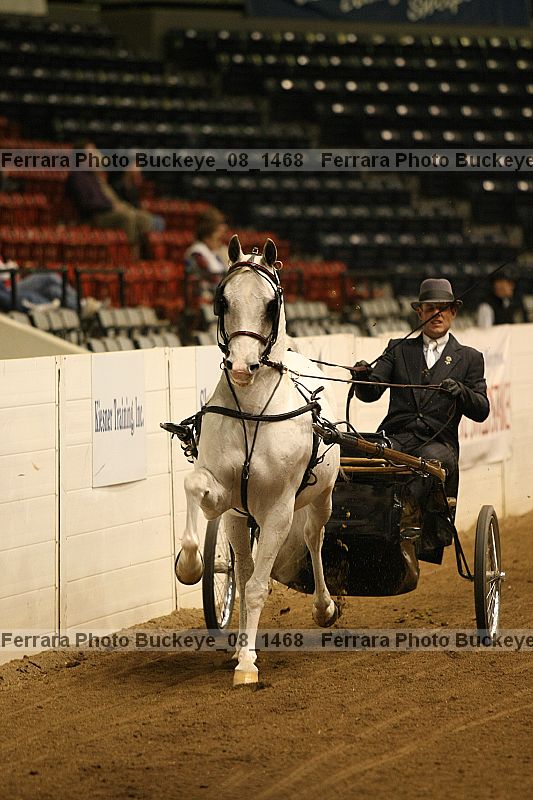 Proof buckeye_08_1468