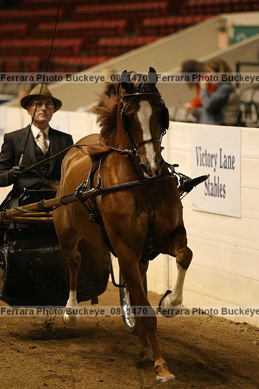 Proof buckeye_08_1470