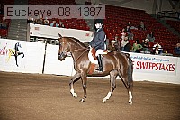 buckeye_08_1387 proof