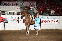 buckeye_08_1388 proof