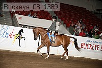 buckeye_08_1389 proof