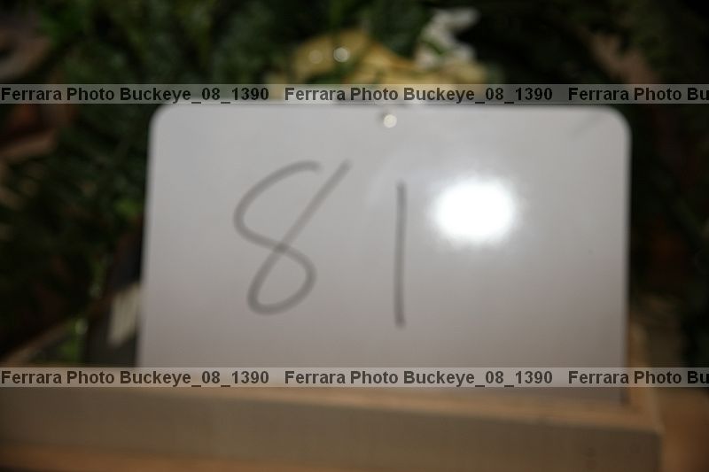 Proof buckeye_08_1390