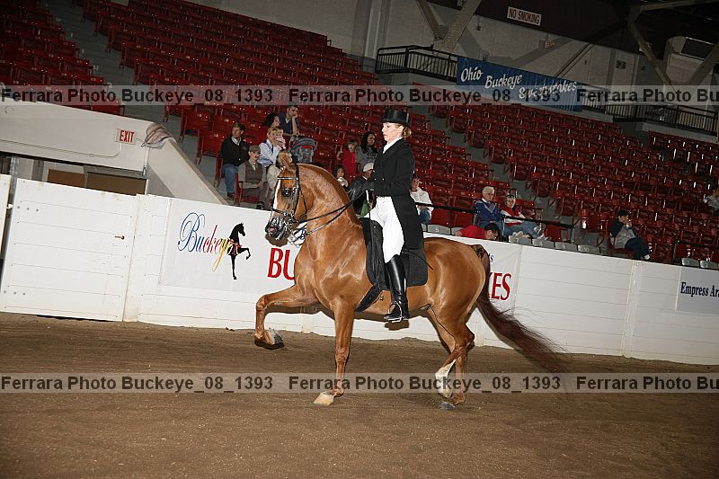 Proof buckeye_08_1393