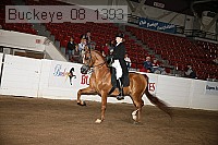 buckeye_08_1393 proof
