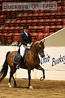 buckeye_08_1480 proof