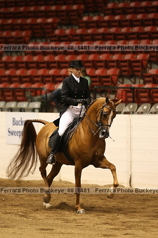 Proof buckeye_08_1481
