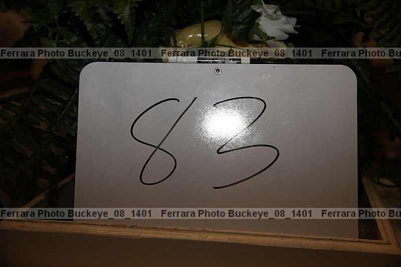 Proof buckeye_08_1401