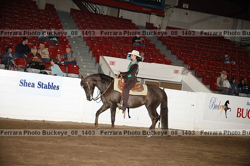 Proof buckeye_08_1403