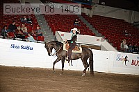 buckeye_08_1403 proof
