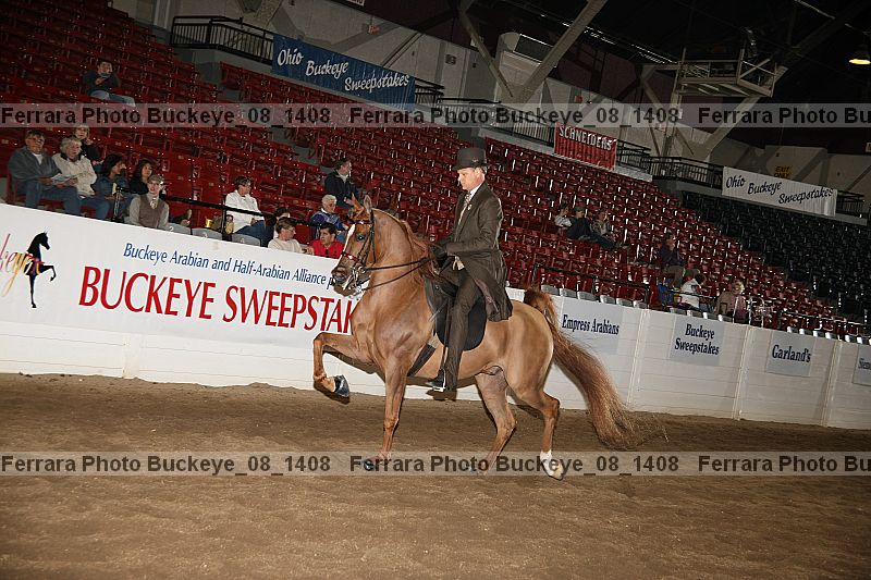 Proof buckeye_08_1408