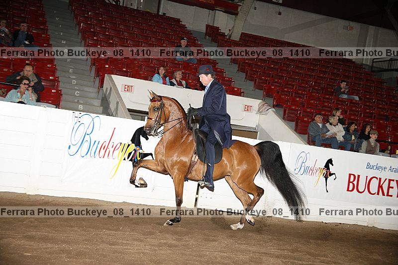 Proof buckeye_08_1410