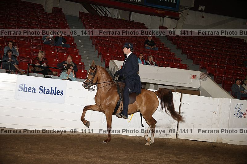 Proof buckeye_08_1411