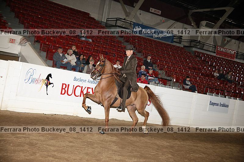 Proof buckeye_08_1412