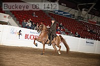 buckeye_08_1412 proof