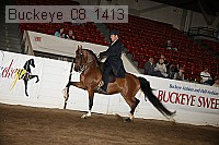 buckeye_08_1413 proof