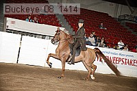 buckeye_08_1414 proof