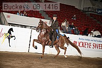 buckeye_08_1416 proof