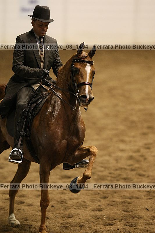 Proof buckeye_08_1494