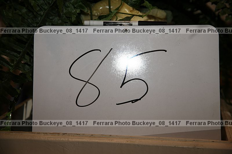 Proof buckeye_08_1417