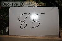 buckeye_08_1417 proof