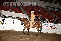 buckeye_08_1423 proof