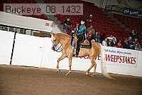 buckeye_08_1432 proof