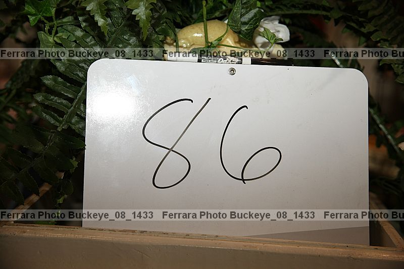 Proof buckeye_08_1433