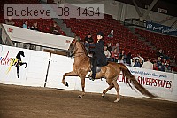 buckeye_08_1434 proof