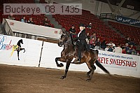 buckeye_08_1435 proof